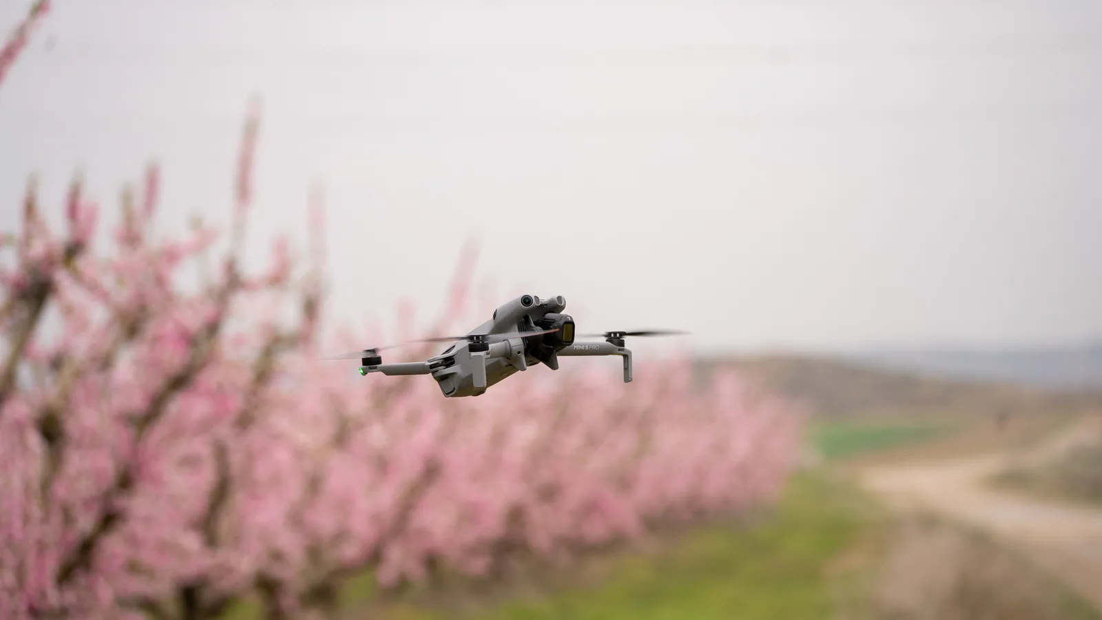 Dron sobre el almendro